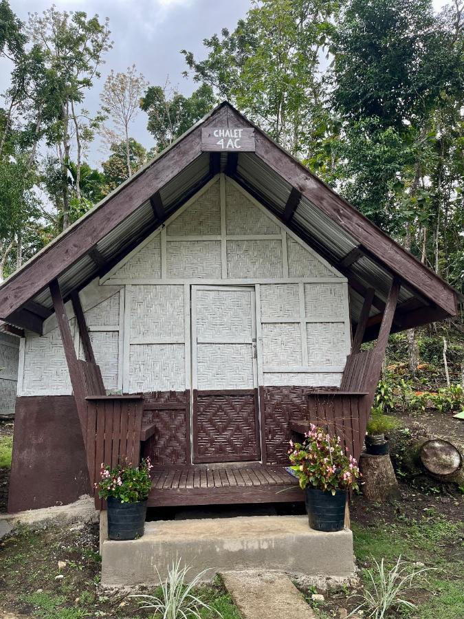 Roca'S Homestay Backpackers Chalet Batuan المظهر الخارجي الصورة