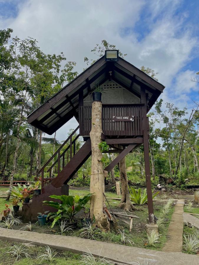 Roca'S Homestay Backpackers Chalet Batuan المظهر الخارجي الصورة
