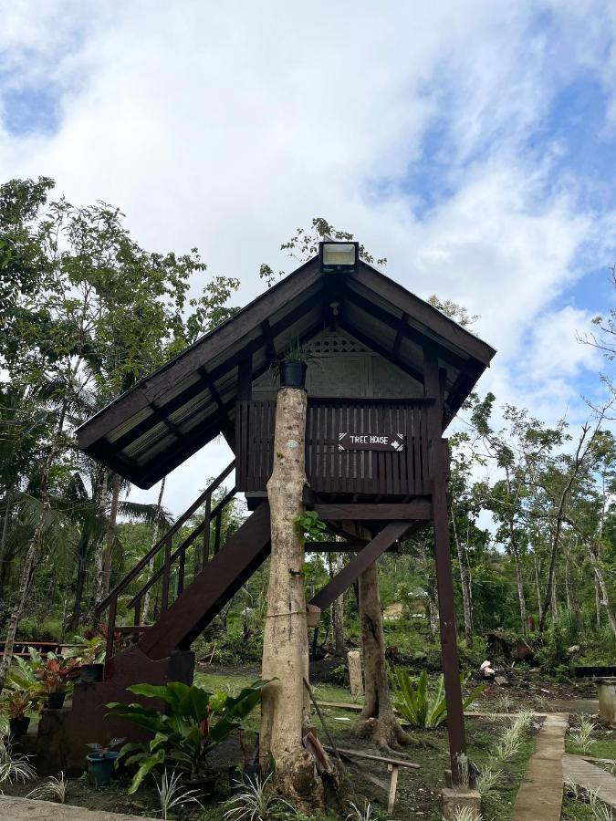 Roca'S Homestay Backpackers Chalet Batuan المظهر الخارجي الصورة