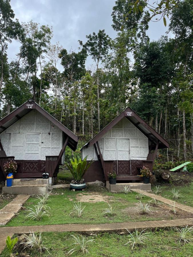 Roca'S Homestay Backpackers Chalet Batuan المظهر الخارجي الصورة